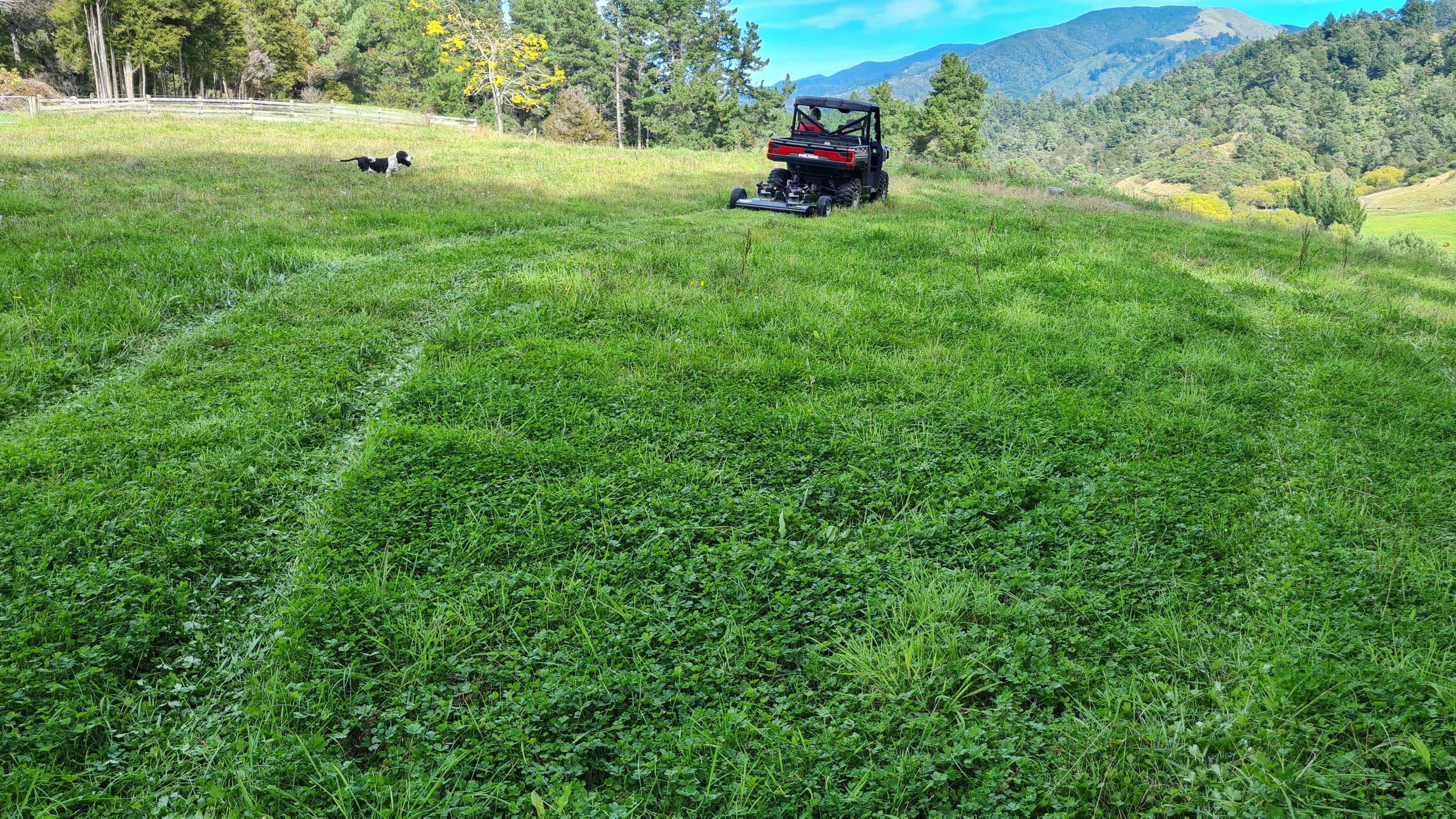 Paddock Hover 5 Tips For Topping Your Paddocks This Season – TaskpowerNZ