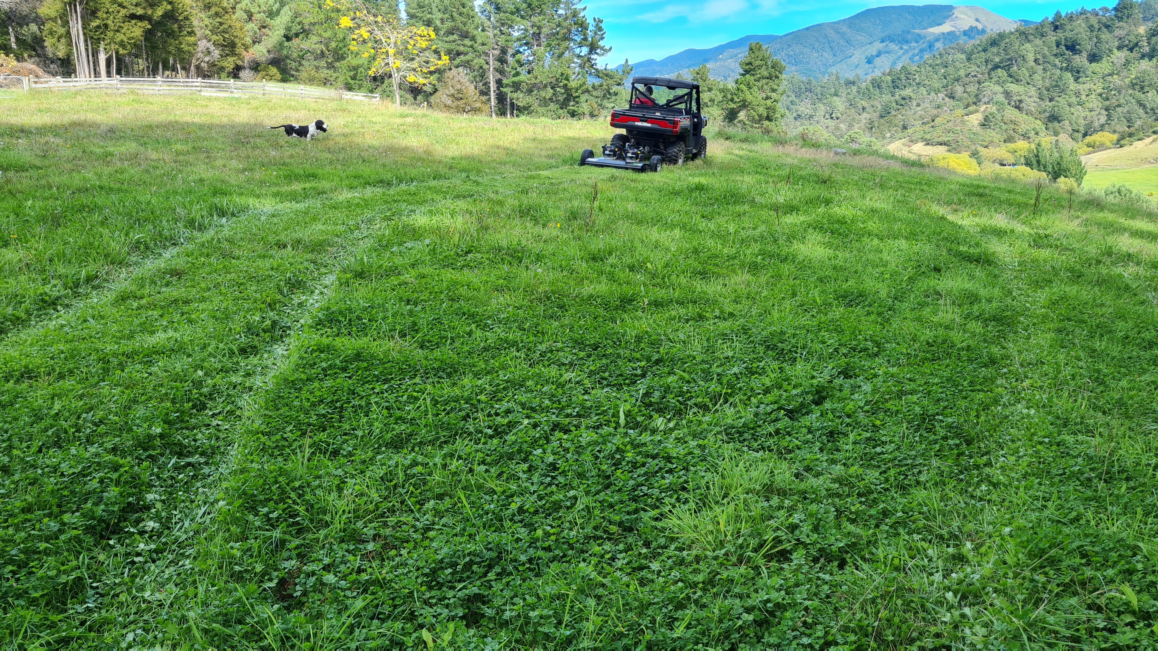 5 Tips For Topping Your Paddocks This Season