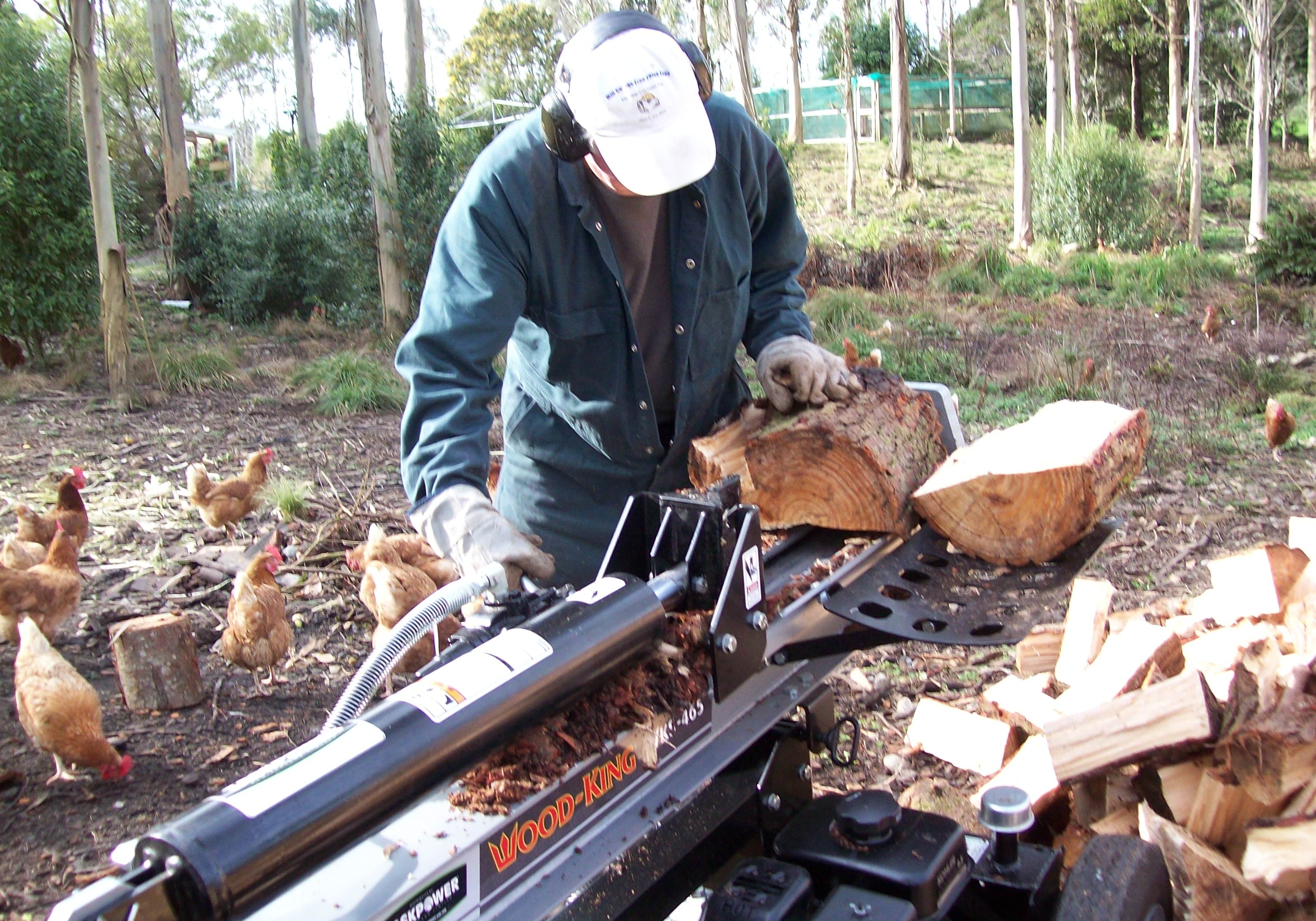 Petrol Log Splitters
