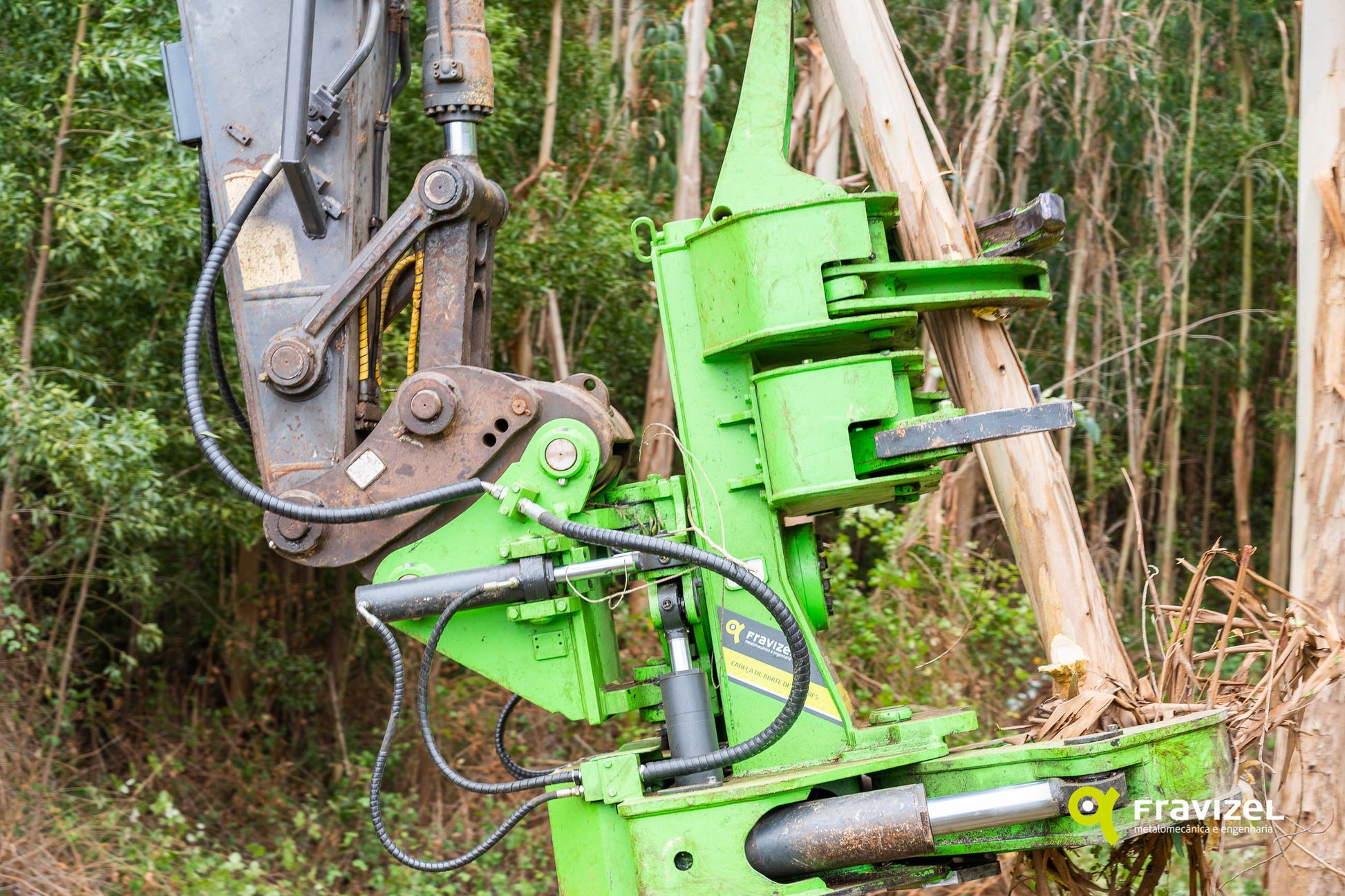 Fravizel HD Double Ram Tree Shear