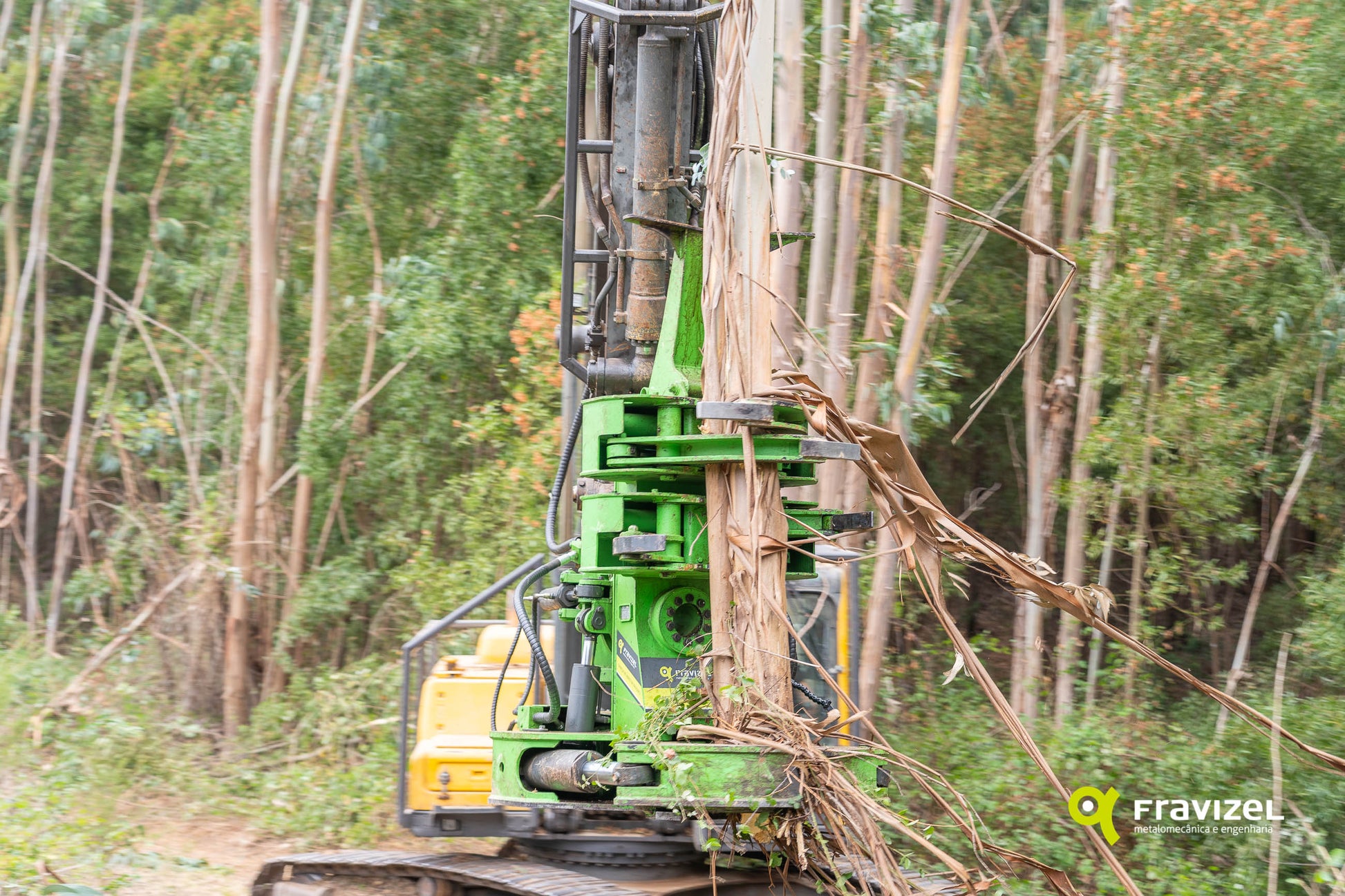 Fravizel HD Double Ram Tree Shear