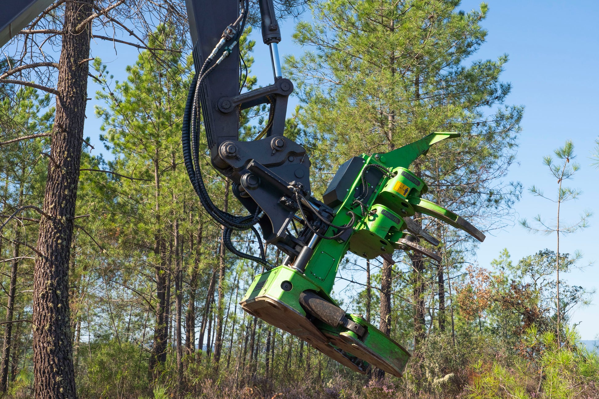 Fravizel HD Double Ram Tree Shear