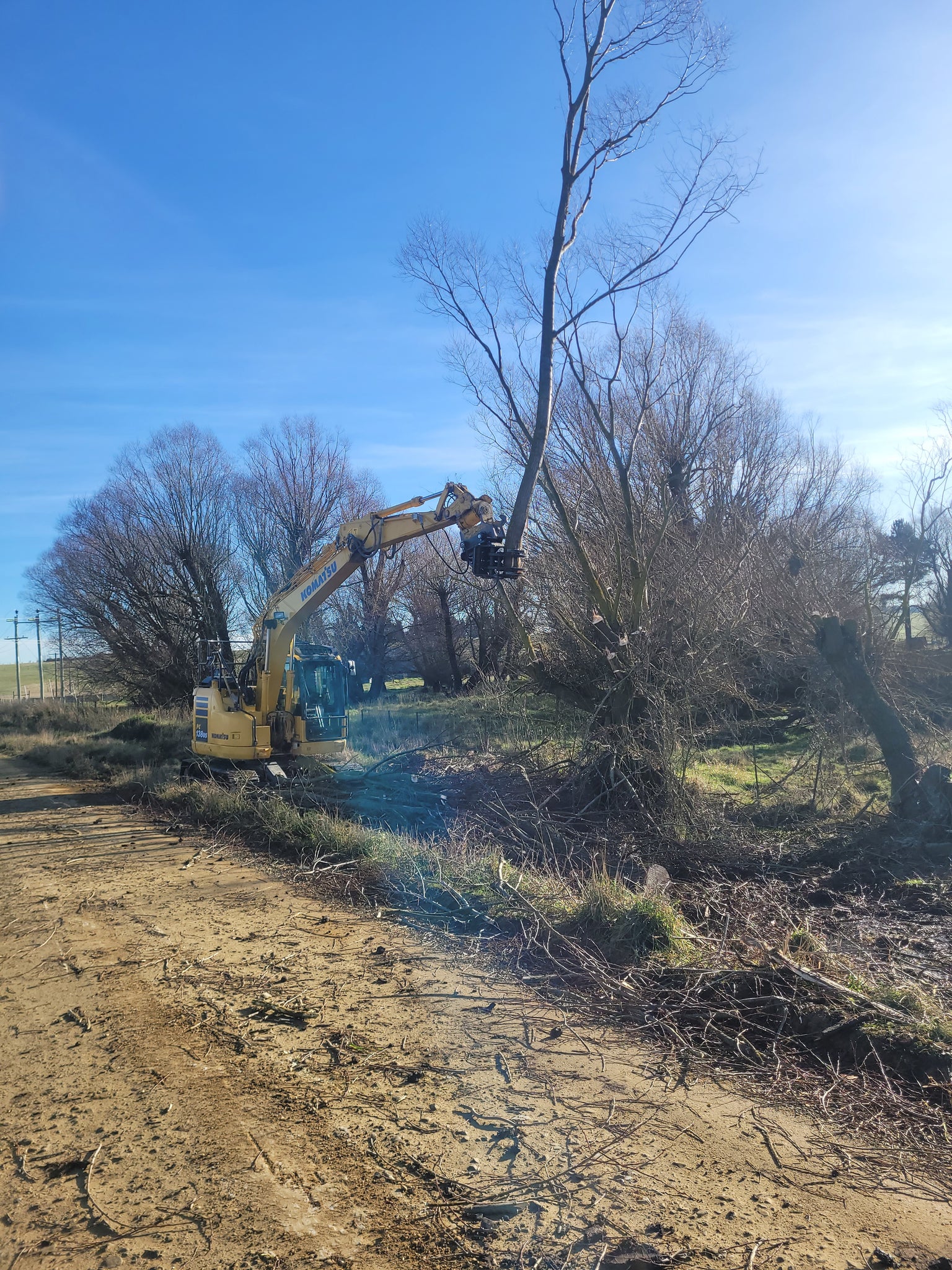 JAK 250 Tree Shear For 5 12T Excavators TaskpowerNZ jak-250-tree-shear-for-5-12t-excavators-taskpowernz