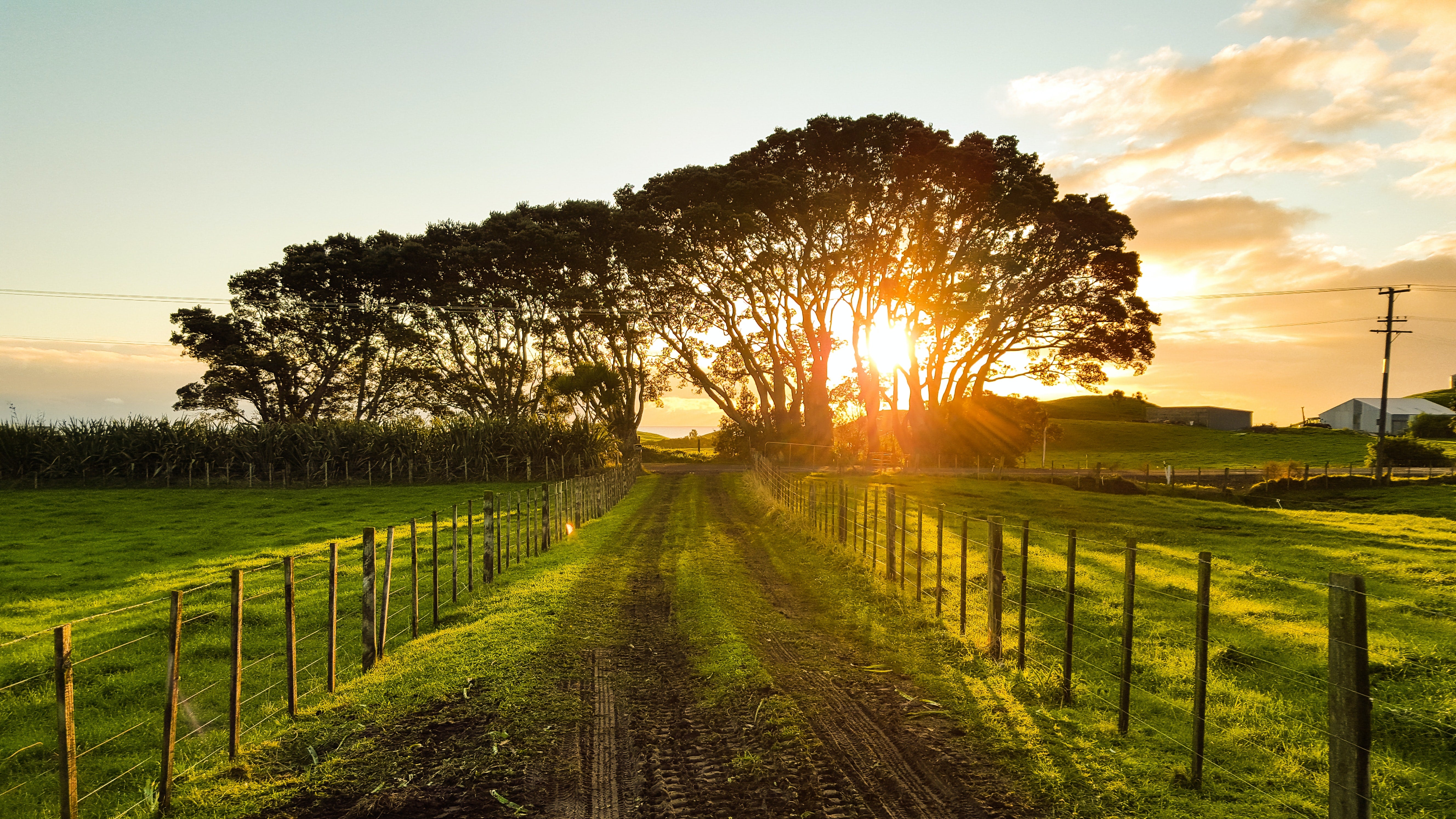 Taskpower_NZ_Ltd_Sunset.jpg