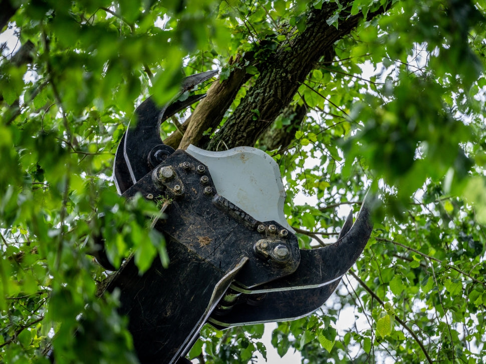 Tree_Brush_Attachments.jpg