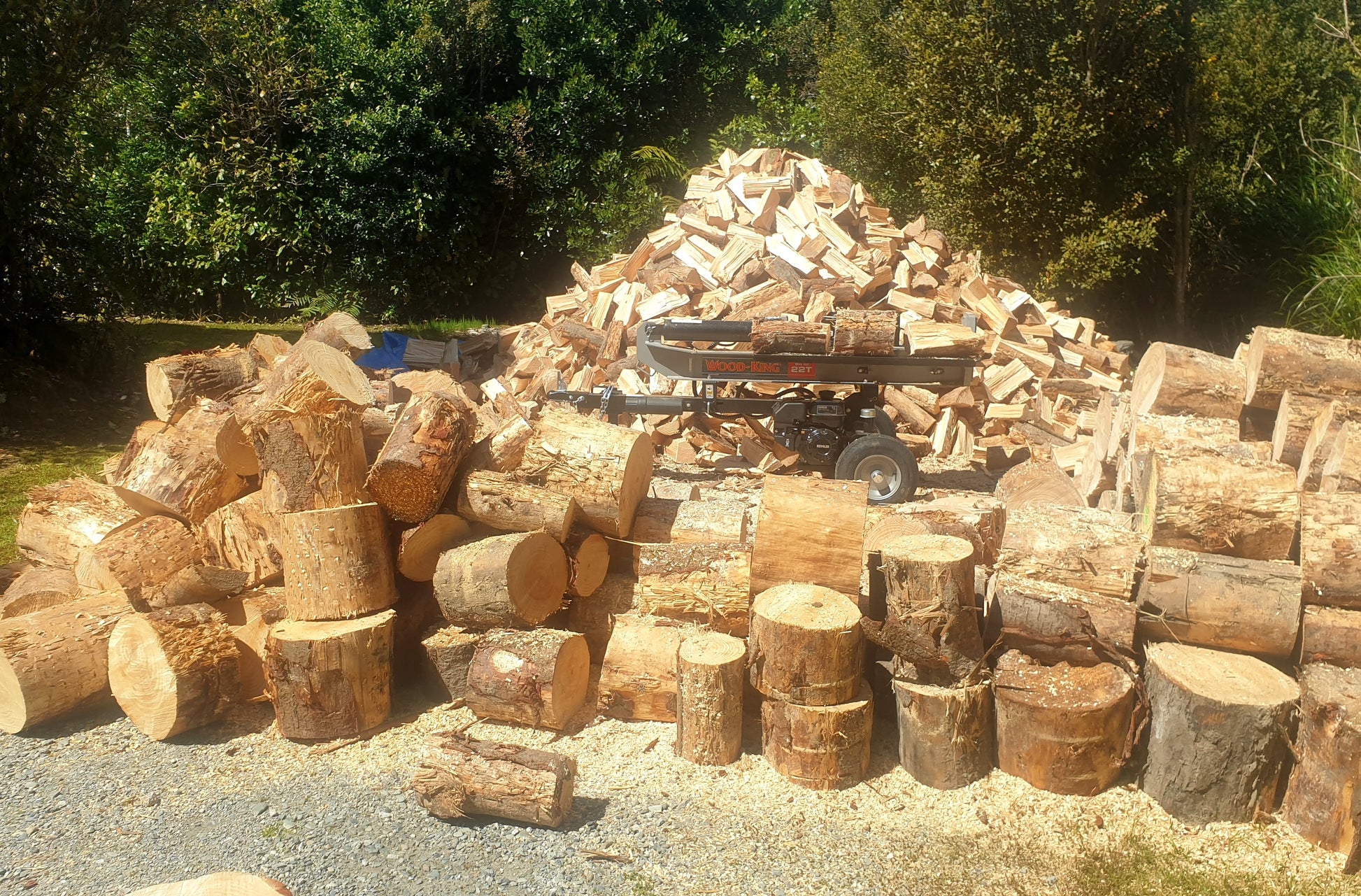 LS465 Liberator 22T Log Splitter