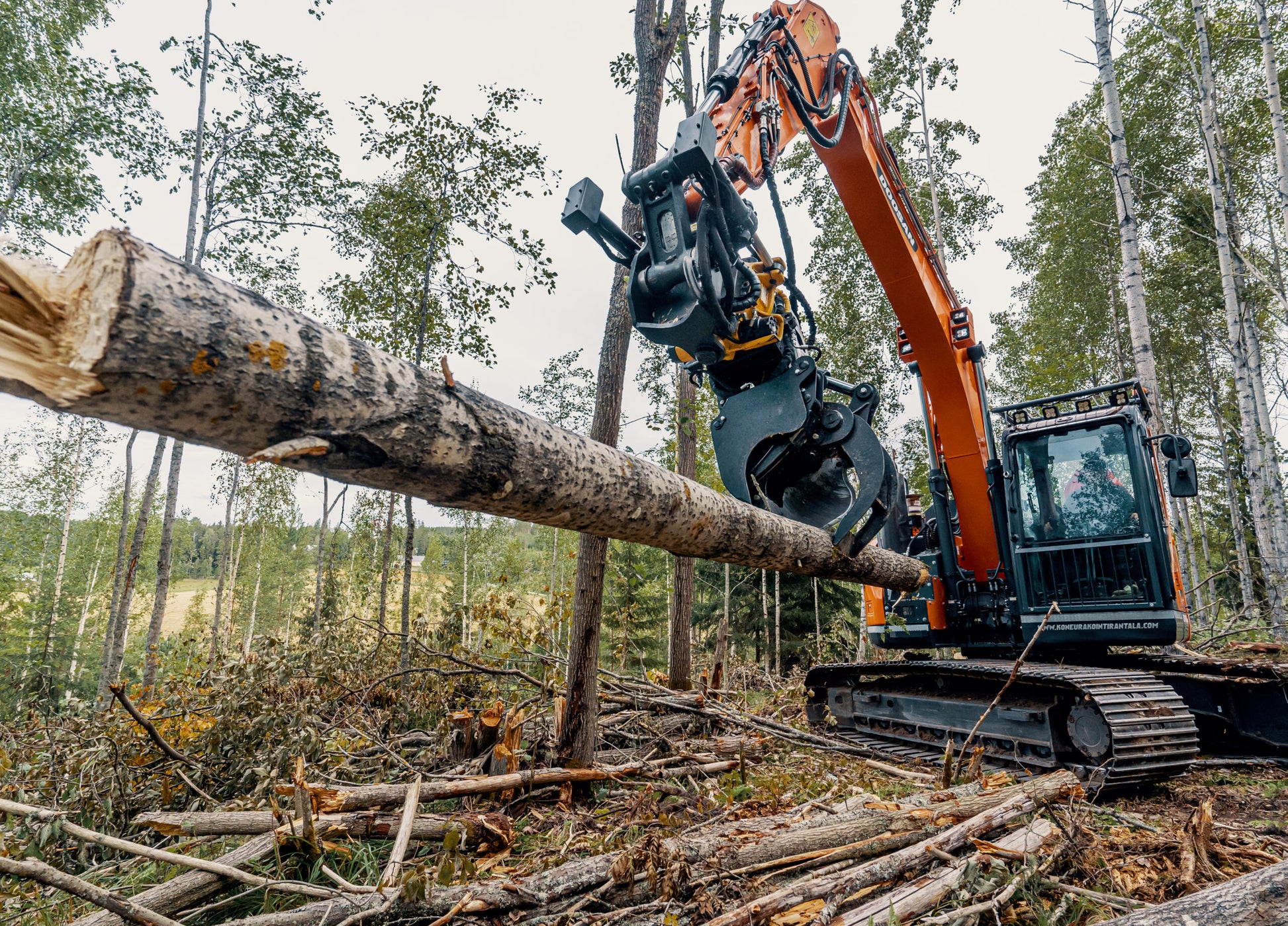JAK300-C 300mm Fixed Tree Shear