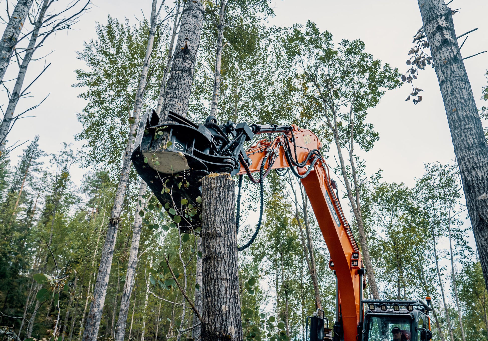 JAK300-C 300mm Fixed Tree Shear